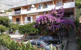 Apartments Turic